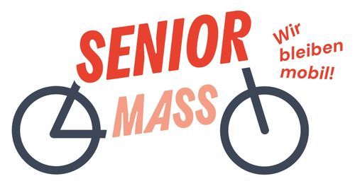 Wie organisiere ich eine Senior Mass: Fahrraddemo für Senior*innen (Online-Infoveranstaltung)