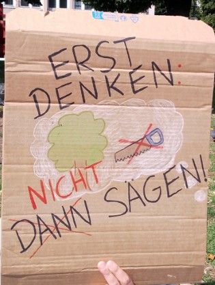 Keinen Luxus-Straßen-Neubau der Ollenhauerstraße! Keine Fällung der 116 Straßenbäume! Finger weg von dem Radfahrstreifen! Planungs-Stopp sofort!