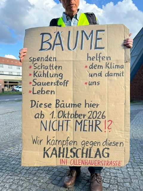 Keinen Luxus-Straßenneubau der Ollenhauerstraße! Keine Fällung der 115 Straßenbäume! Finger weg von dem Pop-Up-Radweg: Planungs-Stopp sofort!