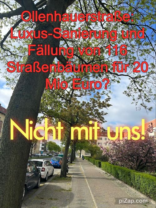 Keinen Luxus-Straßen-Neubau der Ollenhauerstraße! Keine Fällung der 116 Straßenbäume! Finger weg von dem Radfahrstreifen! Planungs-Stopp sofort!