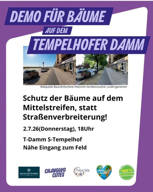 T-Damm Bäume schützen statt Straßenverbreiterung