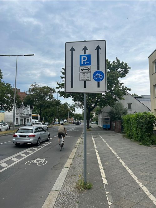 Mahnwache für die 116 von der Rodung bedrohten Straßenbäume und Demo für den Radfahrstreifen in der Ollenhauerstraße